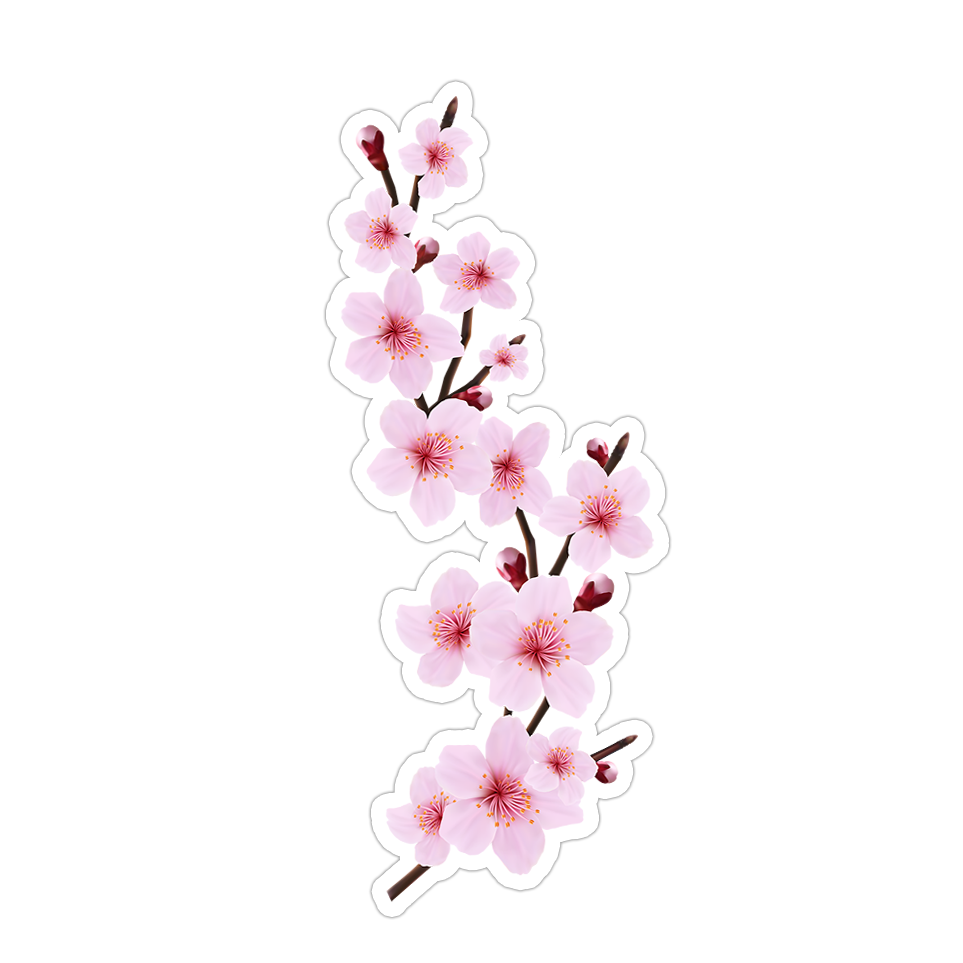 Branch of Pink Sakura Cherry Blossom Flowers Die Cut Sticker (1126)