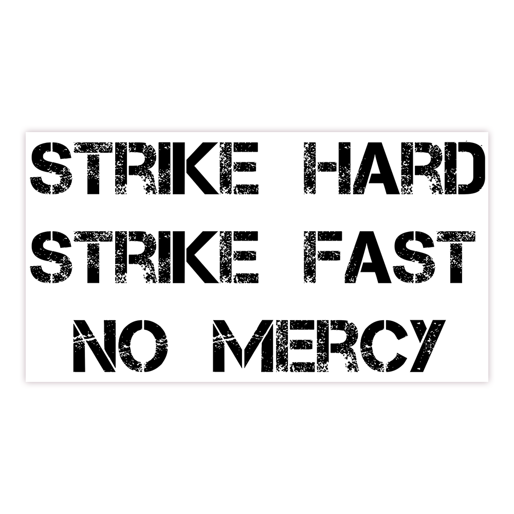 Karate Kid Strike Hard Strike Fast No Mercy Die Cut Sticker (229)