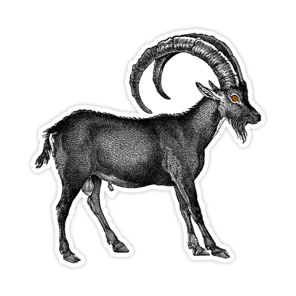 Black Horned Goat Die Cut Sticker (244)