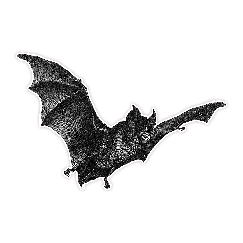 Halloween Bat Die Cut Sticker (245)