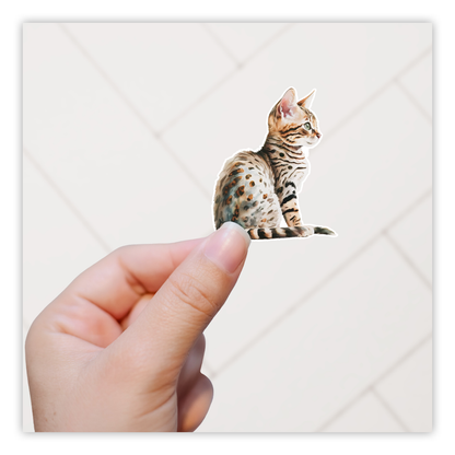 Striped Cat Die Cut Sticker (2927)