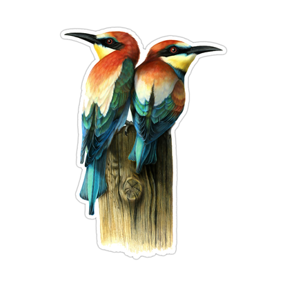 Rainbow European Bee Eater Birds Die Cut Sticker (3092)