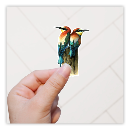 Rainbow European Bee Eater Birds Die Cut Sticker (3092)