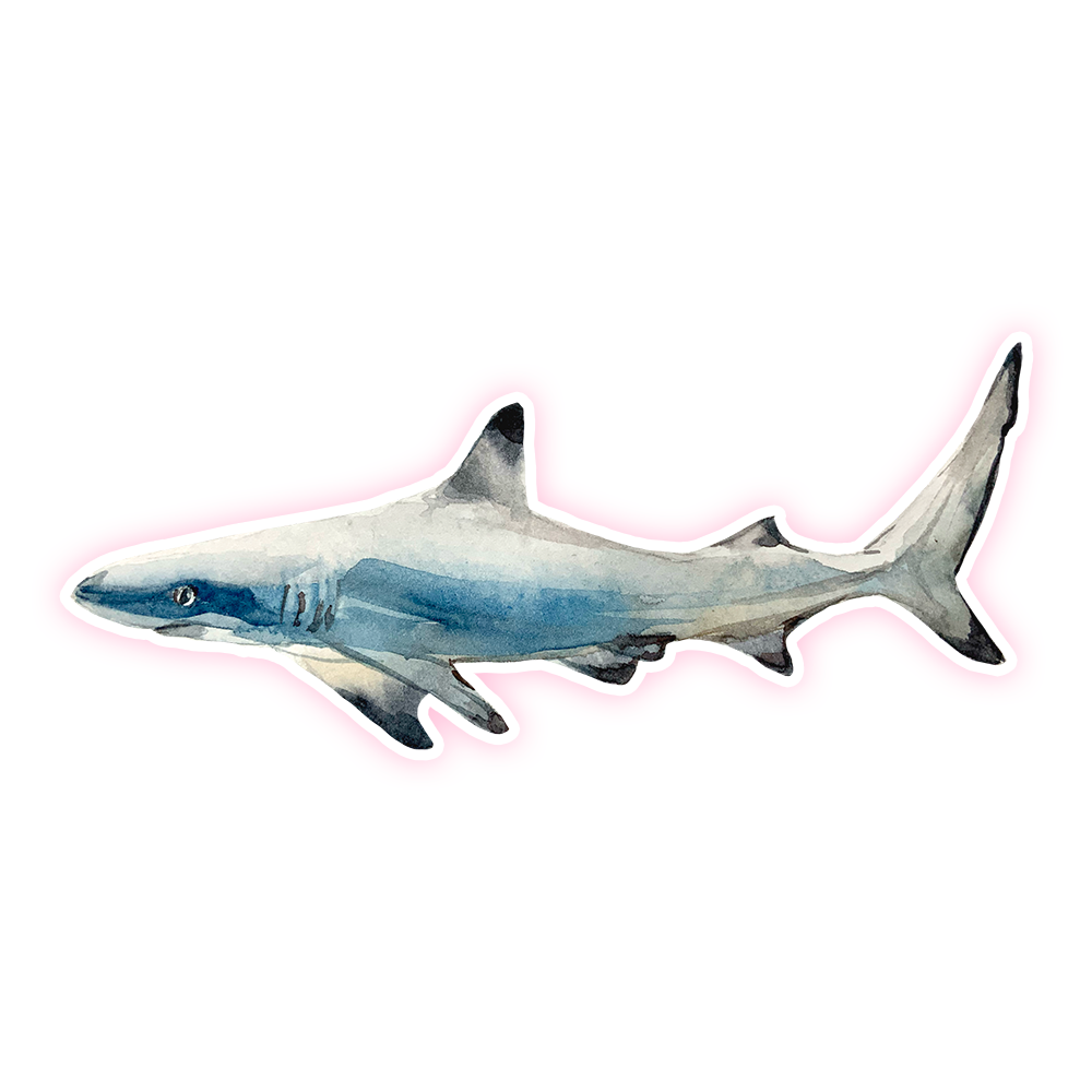 Black Tip Reef Shark Die Cut Sticker (344)