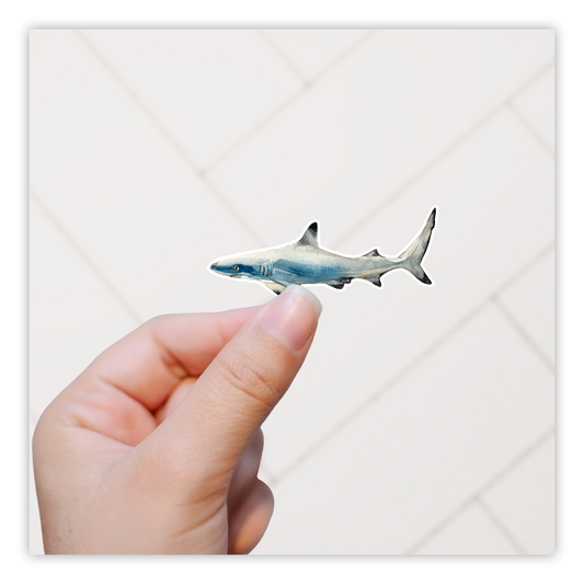 Black Tip Reef Shark Die Cut Sticker (344)