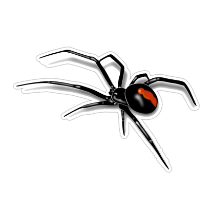 Black Widow Spider Die Cut Sticker (3632)
