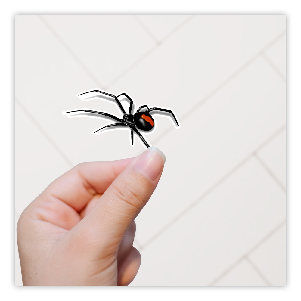 Black Widow Spider Die Cut Sticker (3632)