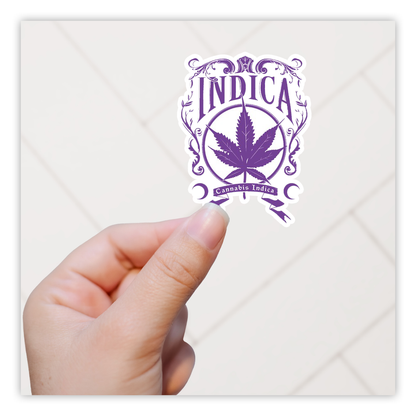 Indica Die Cut Sticker (3892)