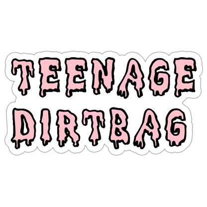 Teenage Dirtbag Die Cut Sticker (4696)