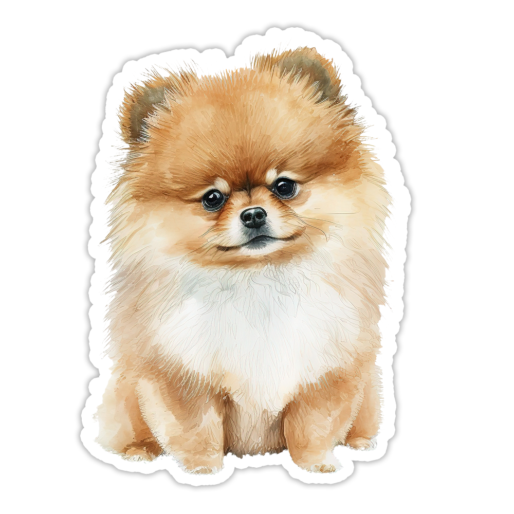Pomeranian Die Cut Sticker (5241)