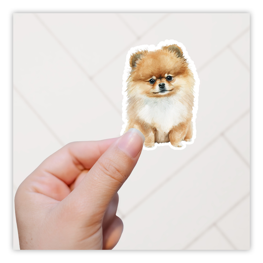 Pomeranian Die Cut Sticker (5241)