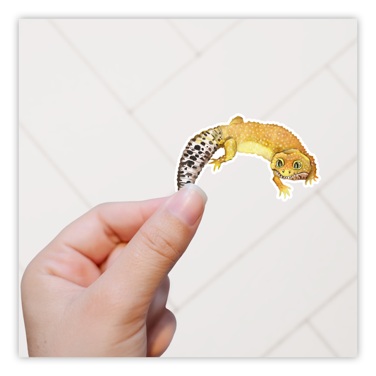Leopard Tail Gecko Die Cut Sticker (529)
