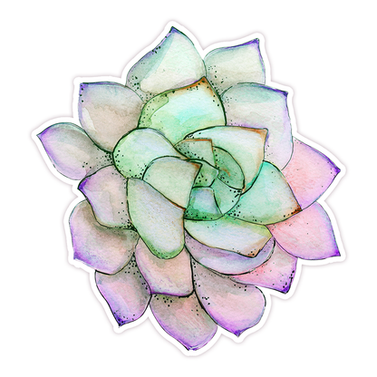 Watercolor Succulent Die Cut Sticker (80)