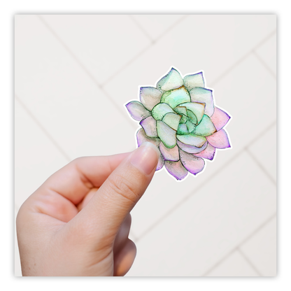 Watercolor Succulent Die Cut Sticker (80)