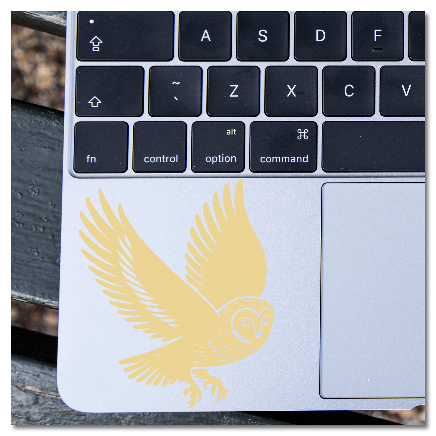 Barn Owl Landing Vinyl Decal Sticker