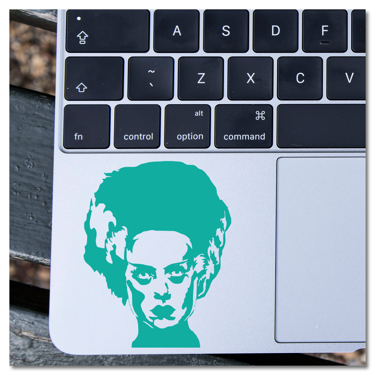 Bride of Frankenstein Classic Universal Horror Monster Vinyl Decal Sticker