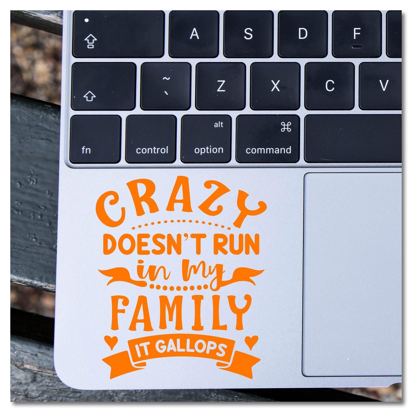 Crazy Doesn't Run In My Family It Gallops Vinyl Decal Sticker