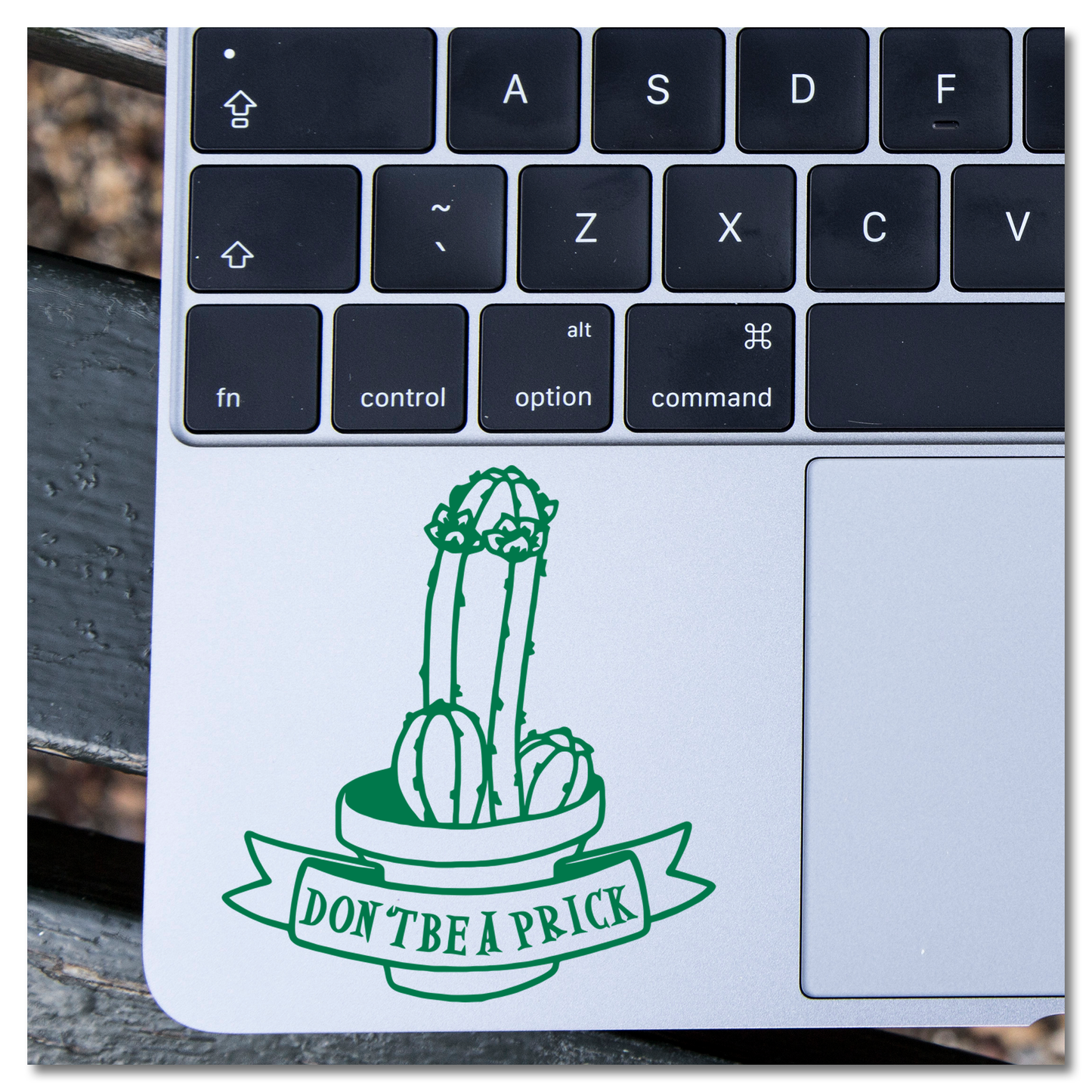 Don't Be A Prick Cactus Vinyl Decal Sticker