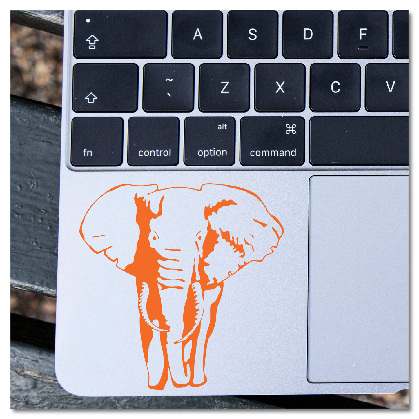 African Elephant Vinyl Decal Sticker