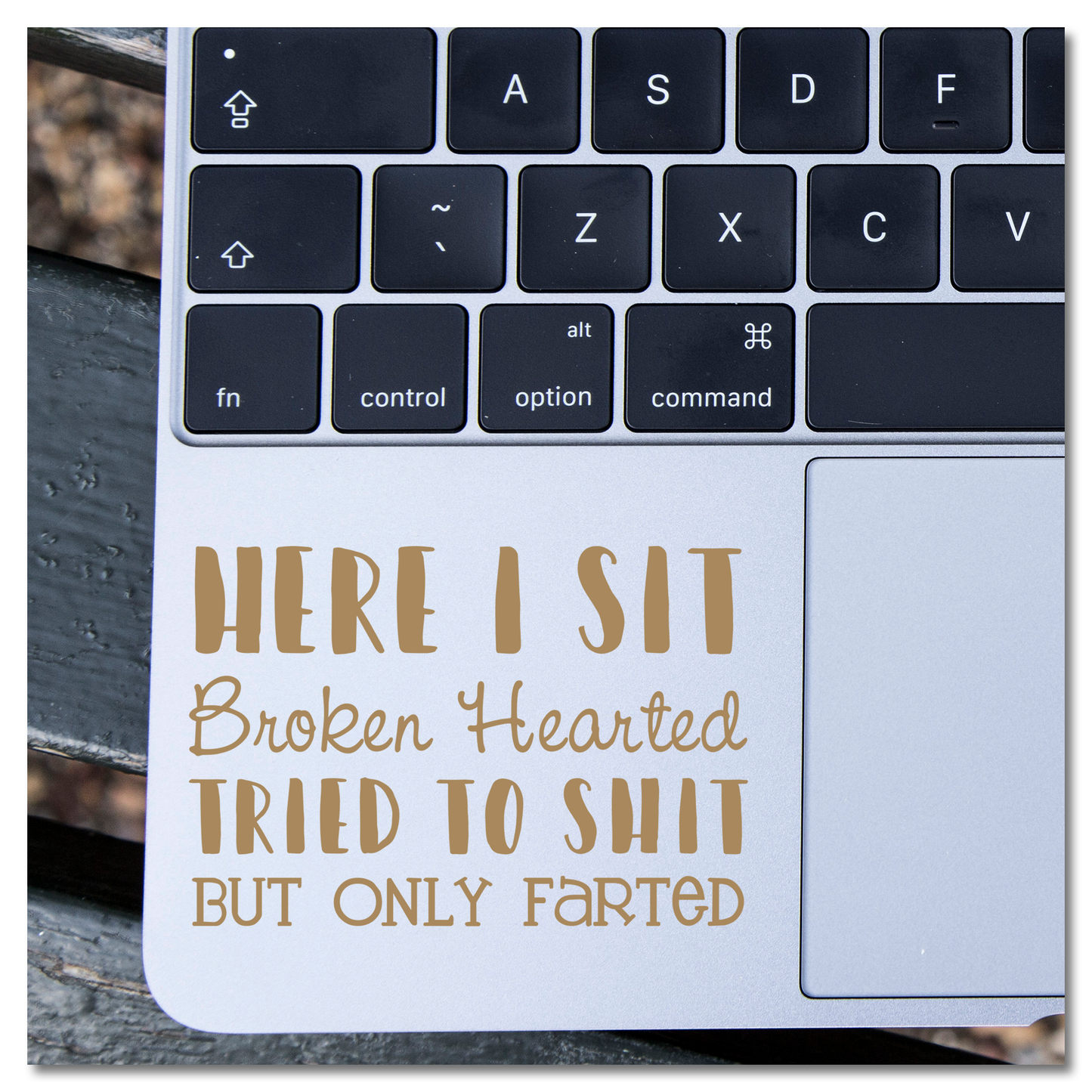 Here I Sit Broken Hearted Tried To Shit But Only Farted Vinyl Decal Sticker