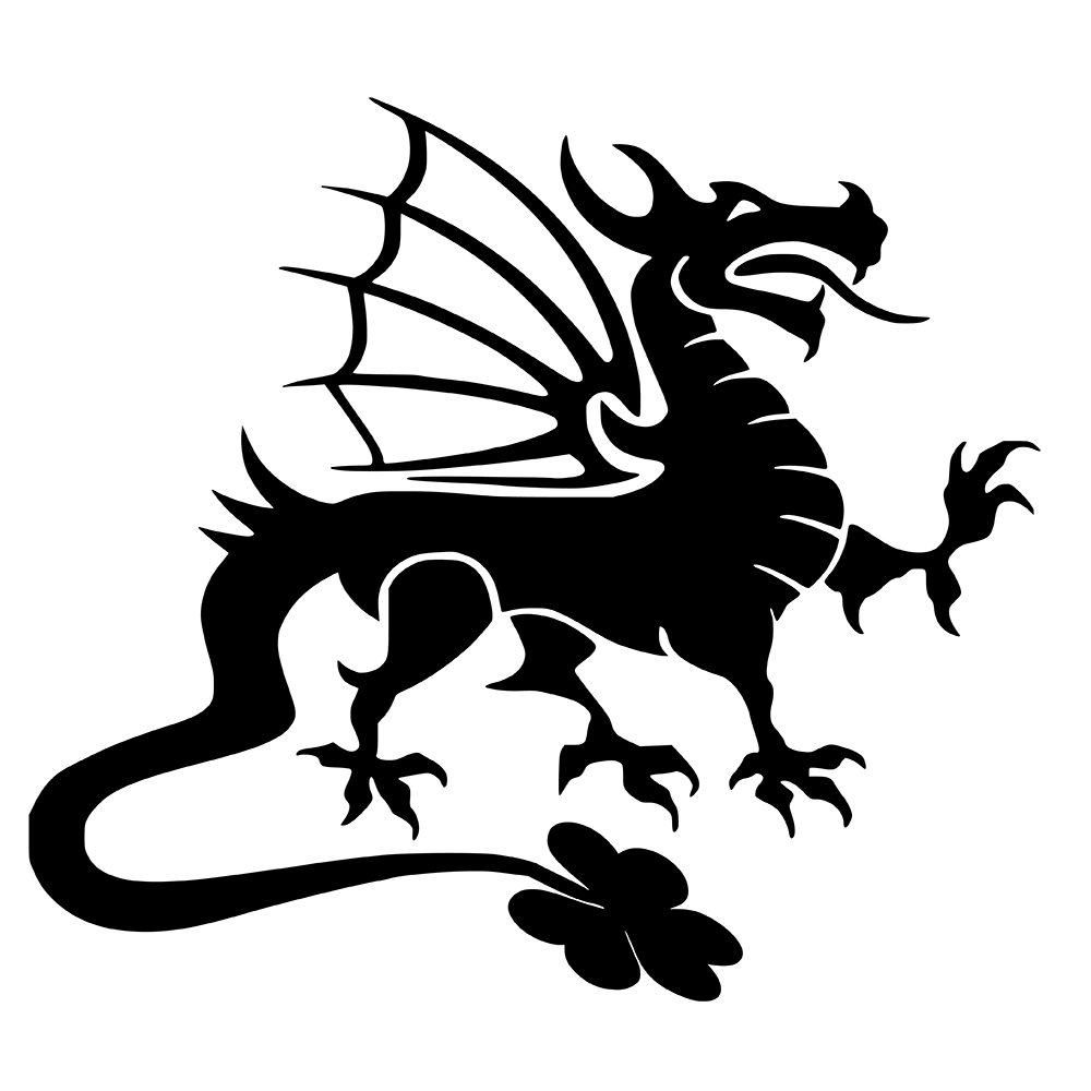 Ierse Sun Dragon Vinyl Decal Sticker