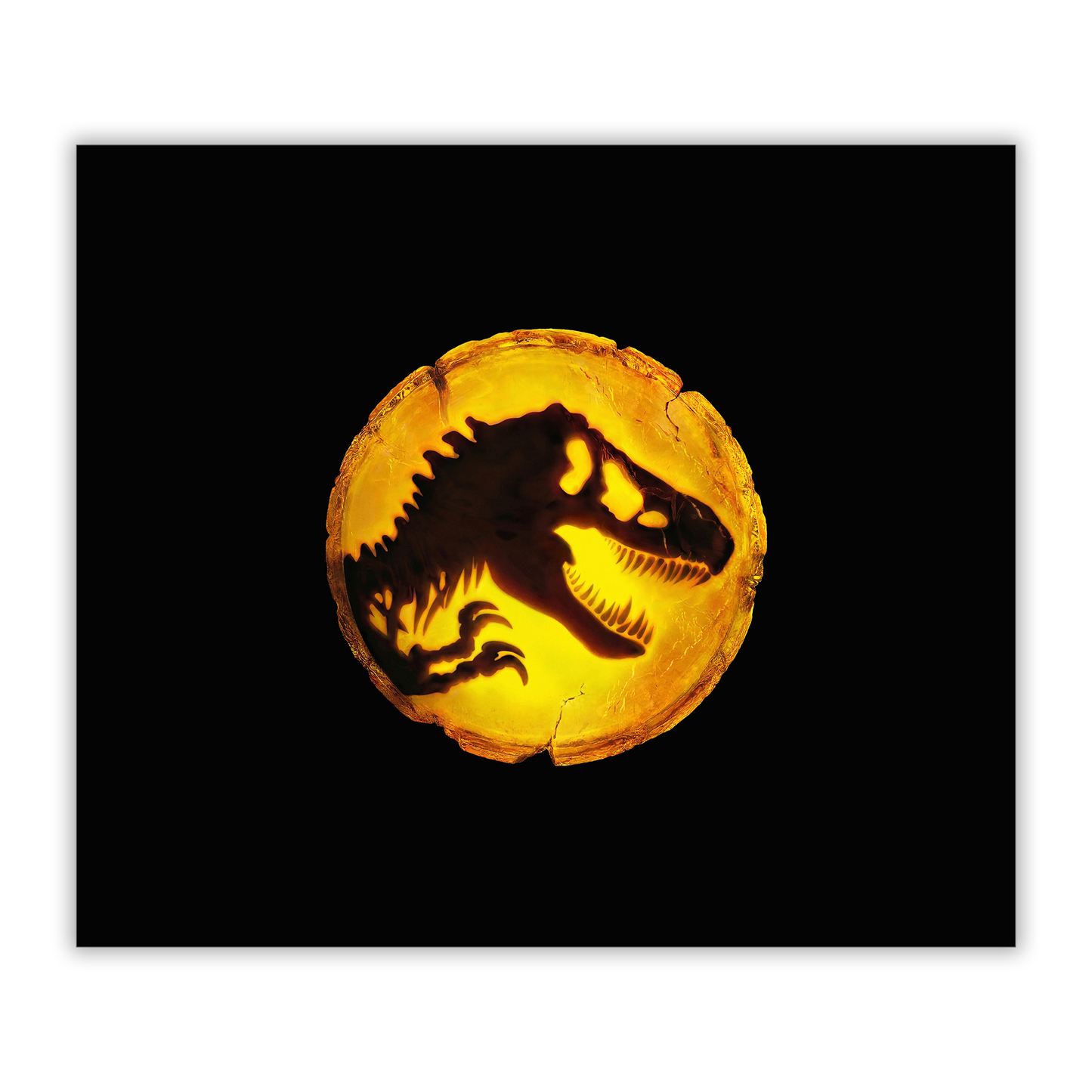 Jurassic World Amber Logo 20oz gesublimeerde metaal tuimelaar