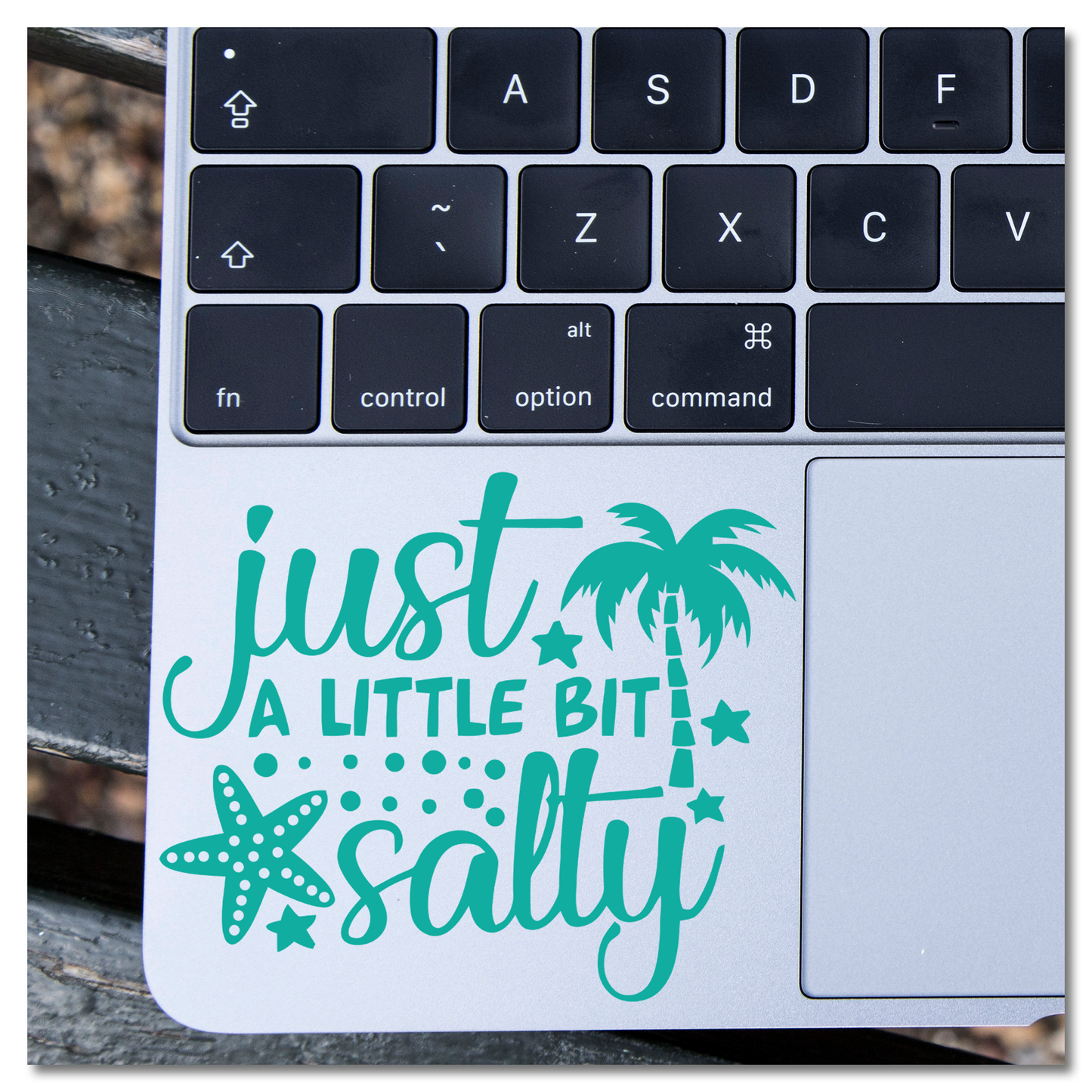 Just A Little Bit Salty Vinyl Decal Sticker