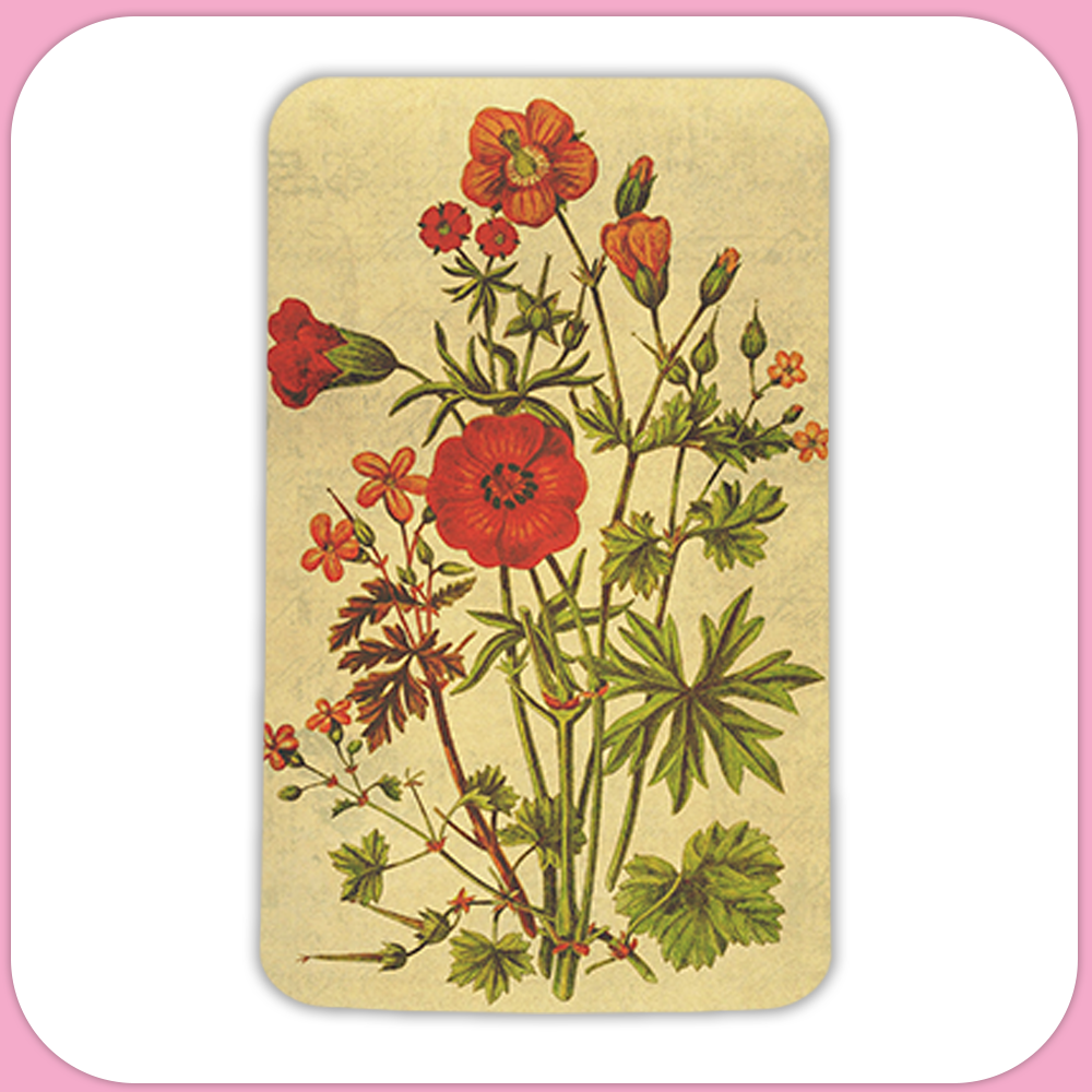 Vintage Botanical Book Red Flowers Rectangular Sublimation MDF Keychain