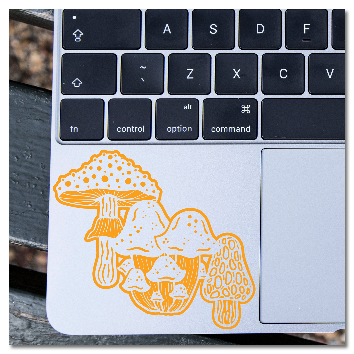 Mushrooms Vinyl Decal Sticker