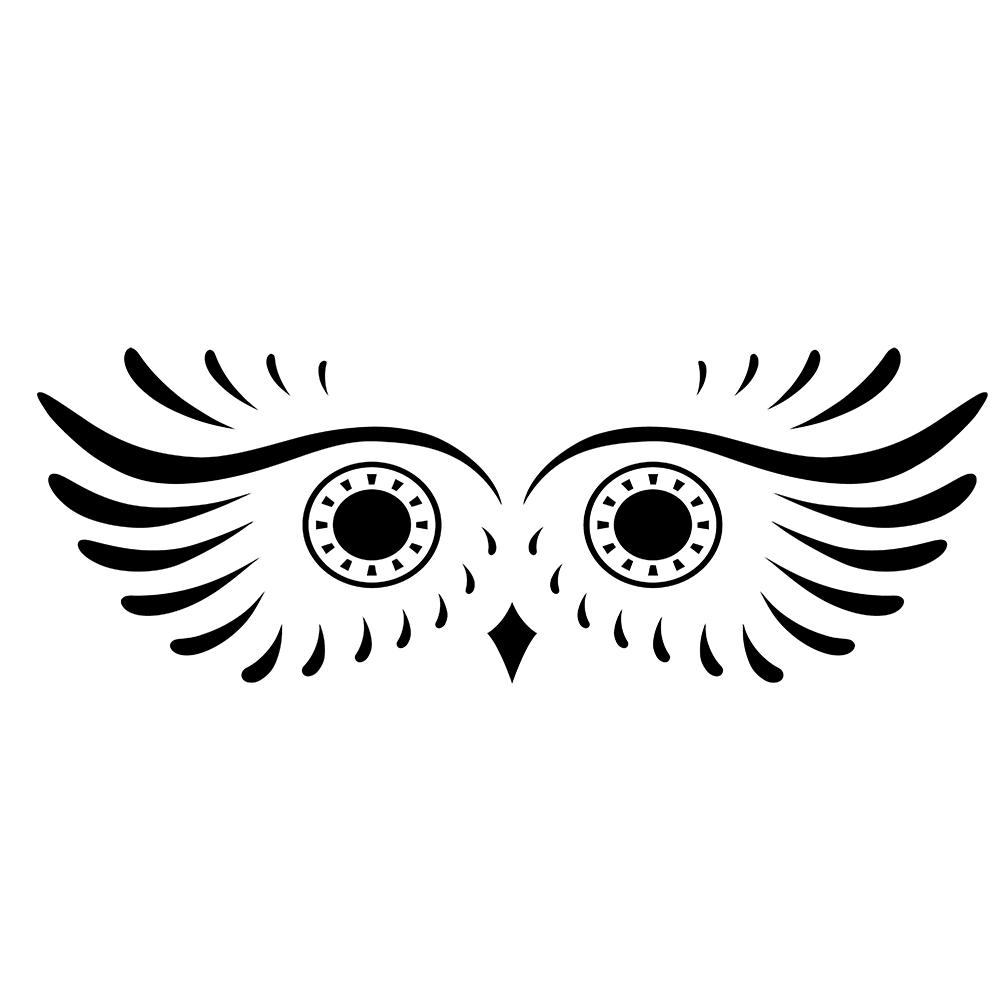 Owl Eyes Vinyl Decal Sticker