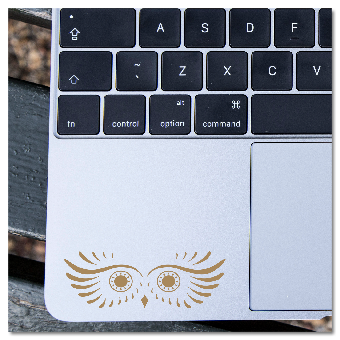 Owl Eyes Vinyl Decal Sticker