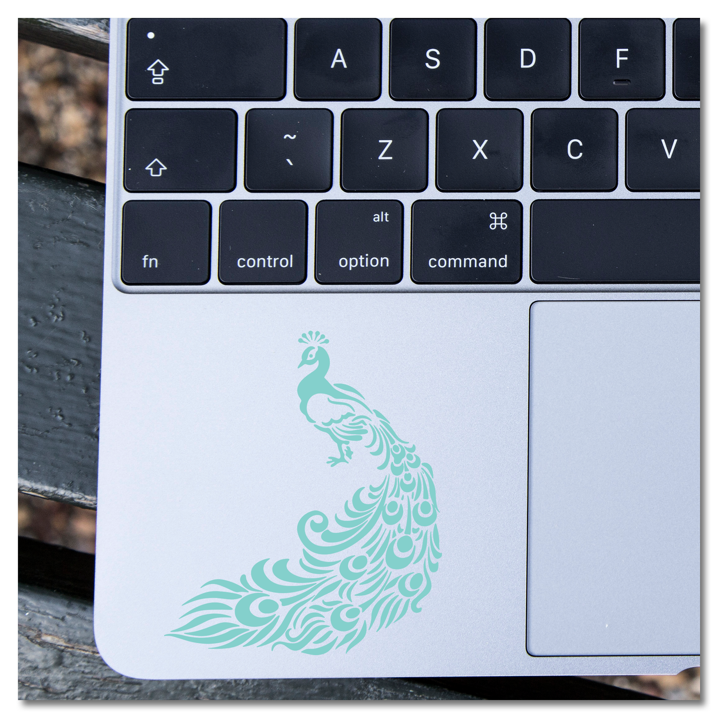 Peacock Vinyl Decal Plakker