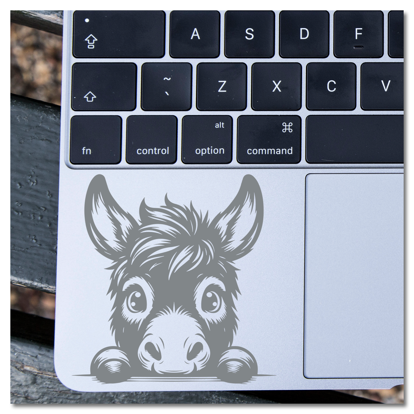 Peeking Donkey Vinyl Decal Sticker
