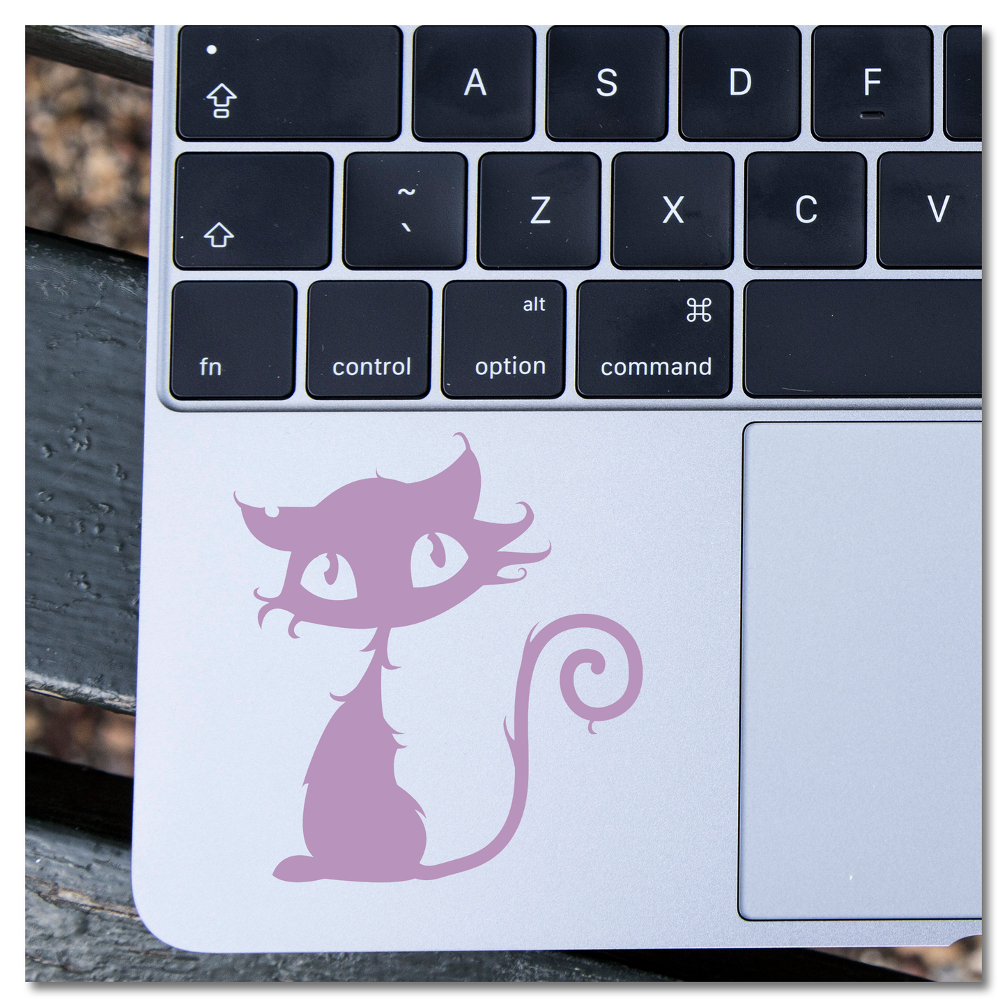 Sassy Cat Vinyl Decal Sticker