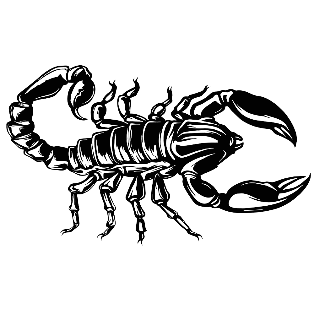 Scorpion Vinyl Decal Sticker