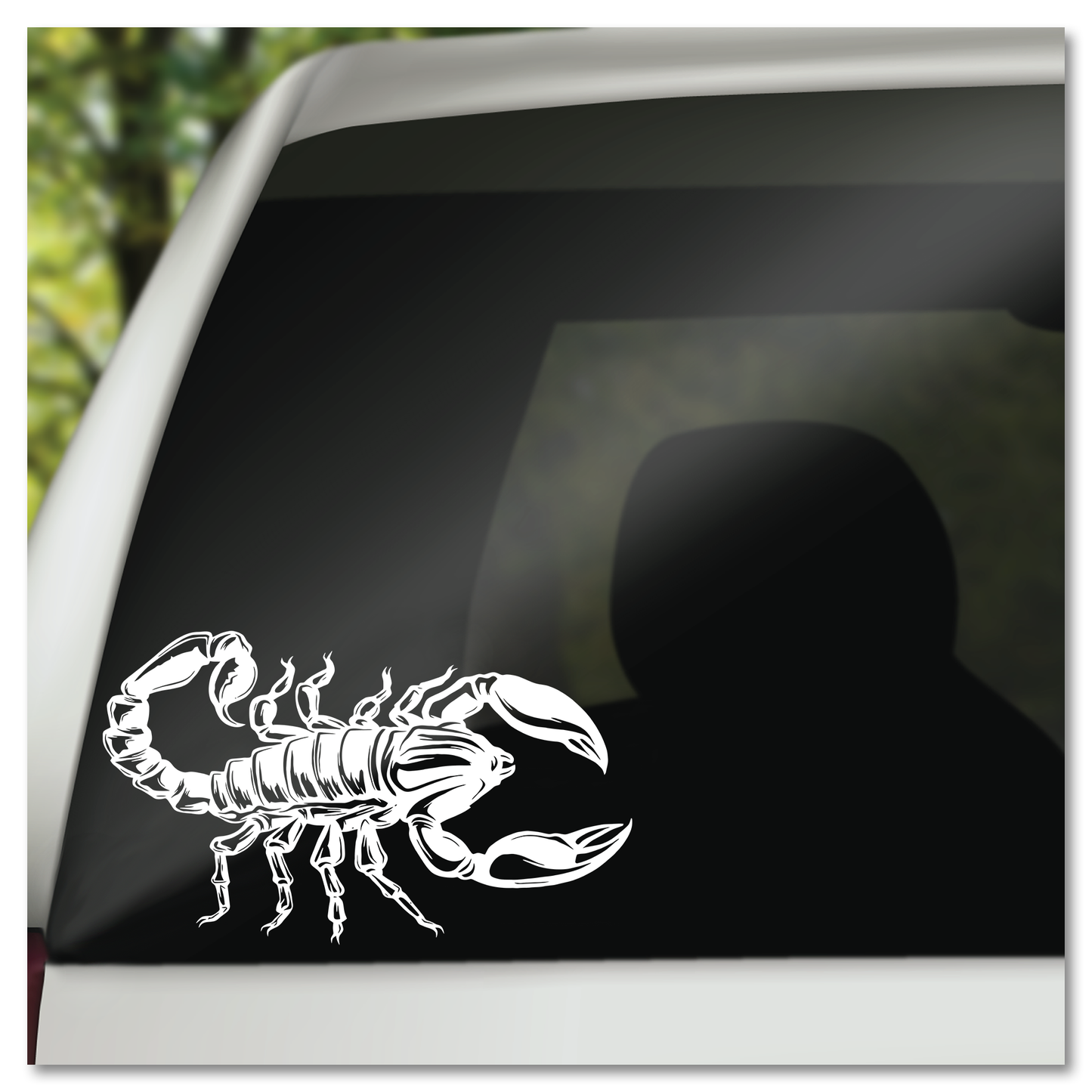 Skerpioen Vinyl Decal Plakker