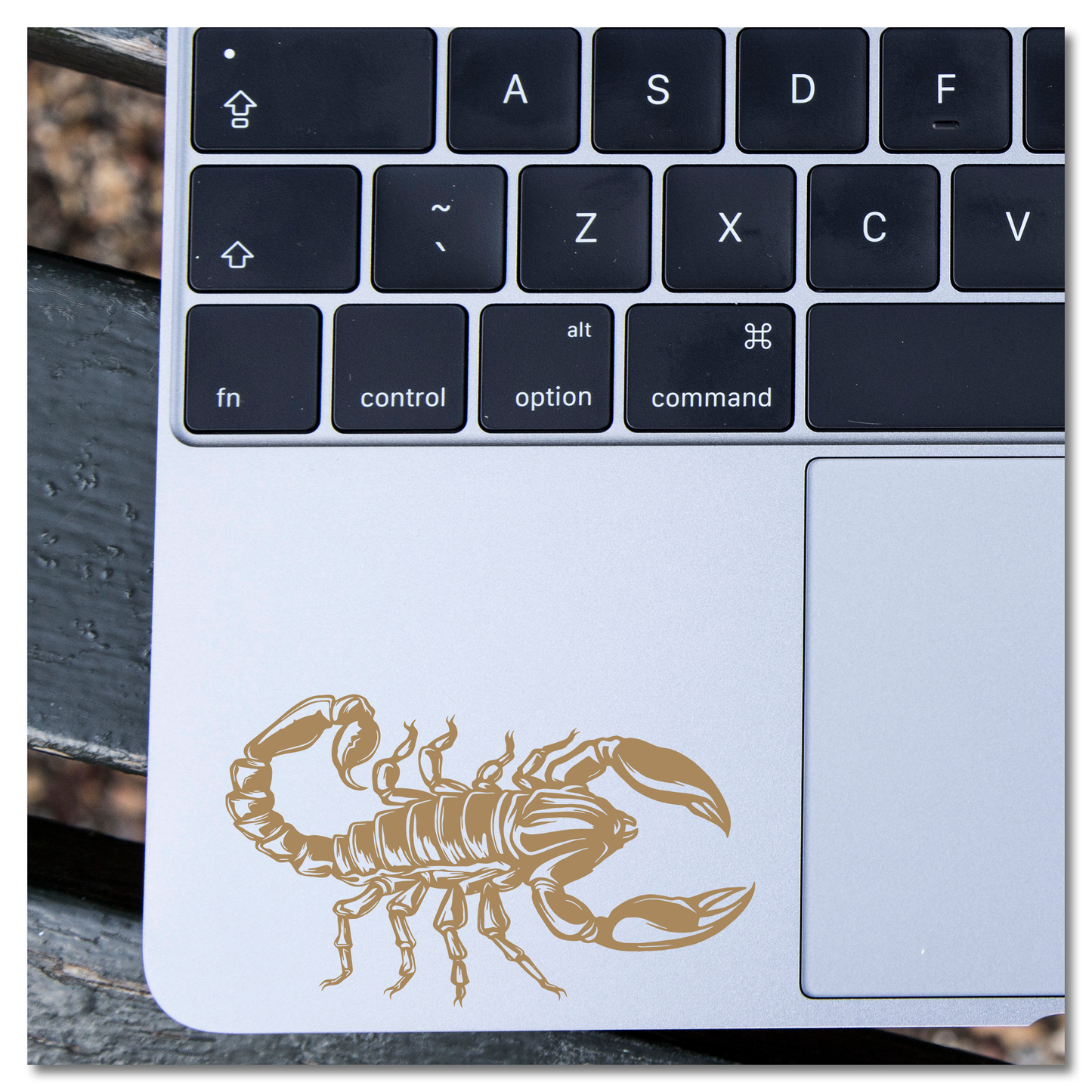 Scorpion Vinyl Decal Sticker