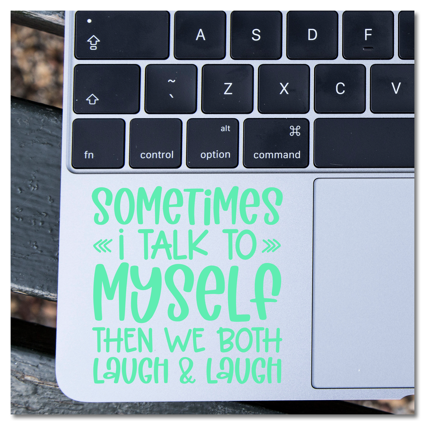 Sometimes I Talk To Myself Then We Both Laugh & Laugh Vinyl Decal Sticker