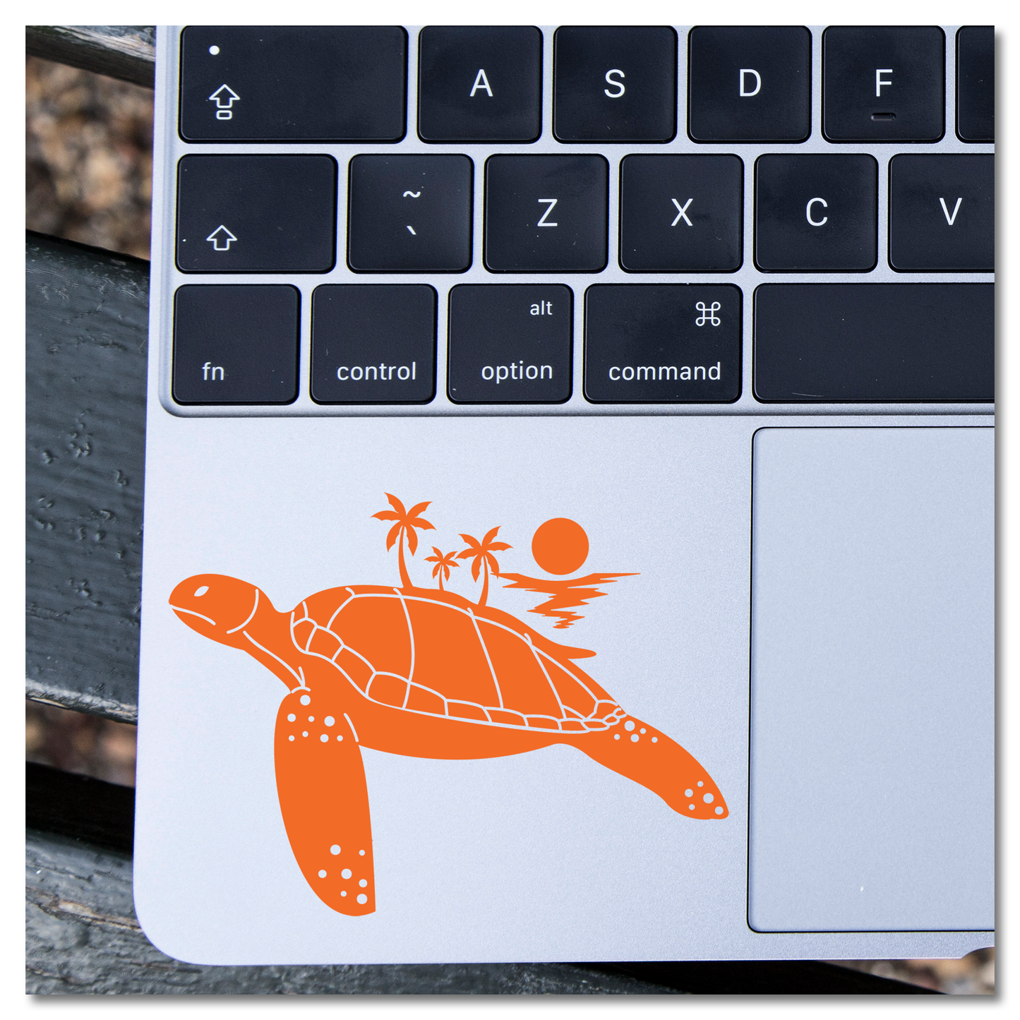 Summer Inside Turtle Vinyl Decal Sticker