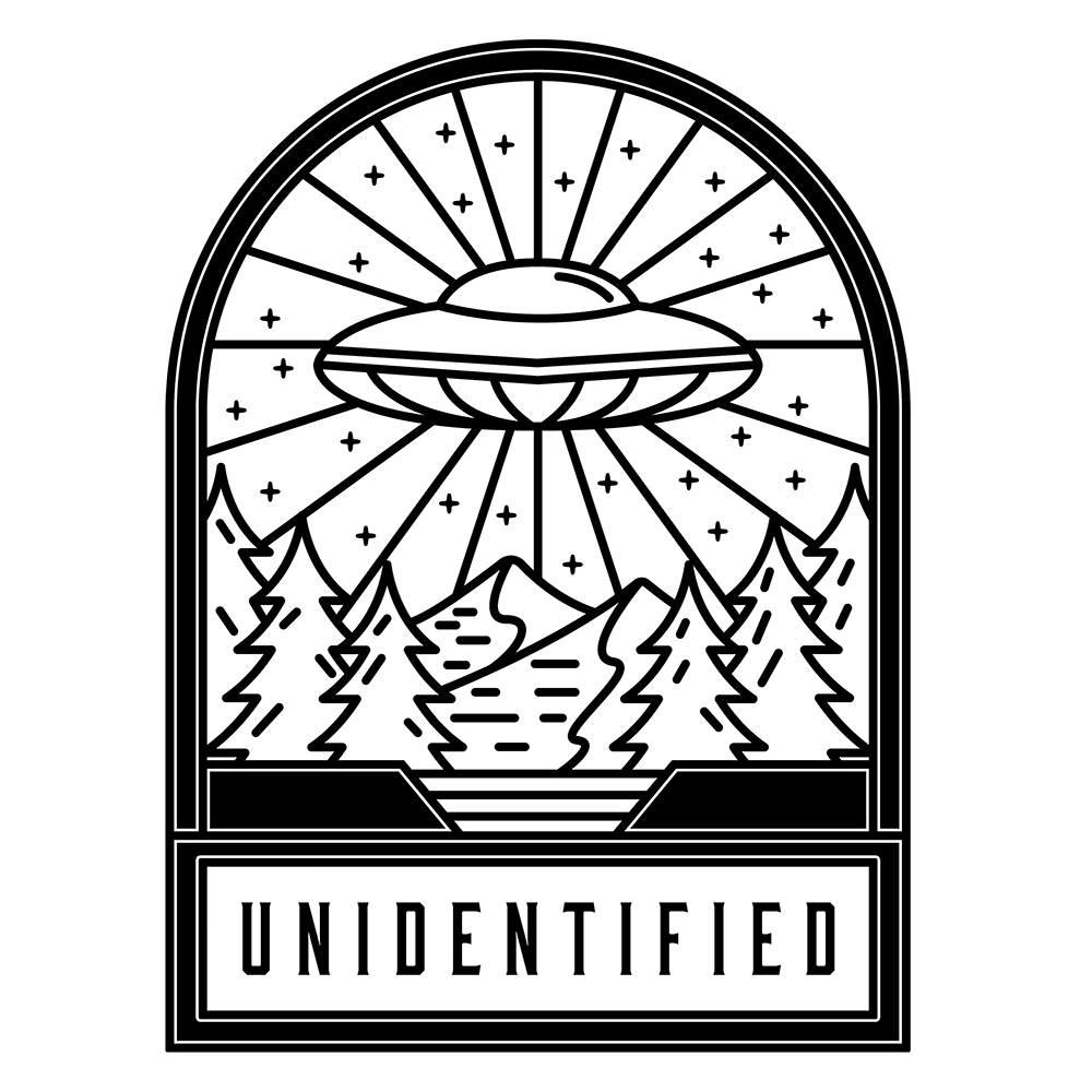 Unidentified UFO Vinyl Decal Sticker