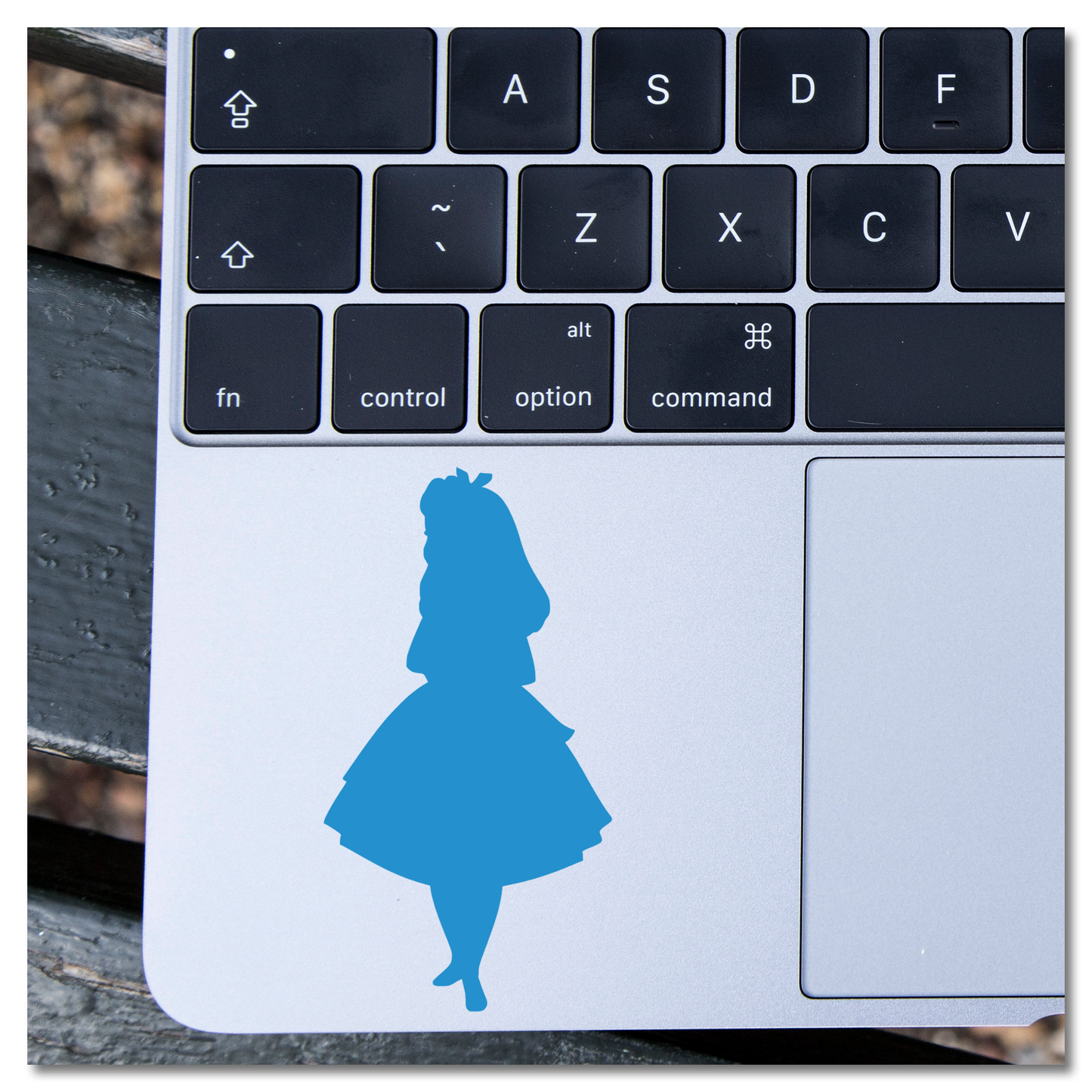 Alice In Wonderland Vinyl Decal Sticker