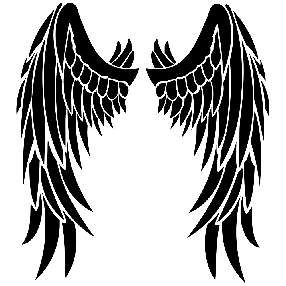 Angel Wings Vinyl Decal Sticker