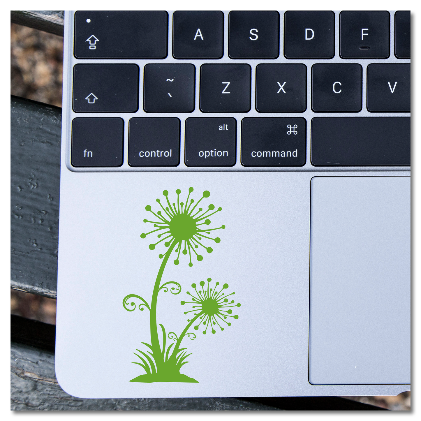 Dandelion Vinyl Decal Sticker