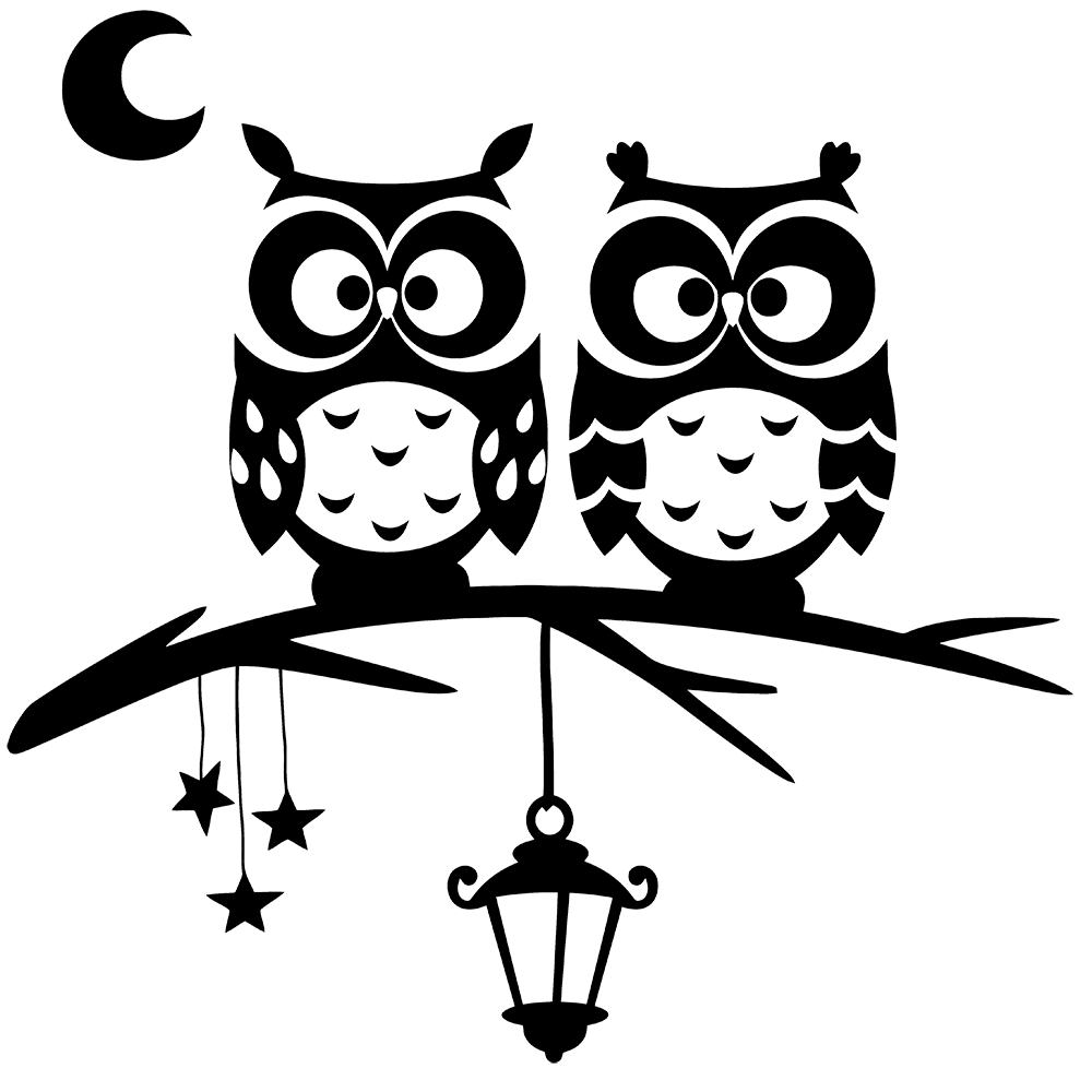 Nighttime Owls Vinyl Decal Sticker