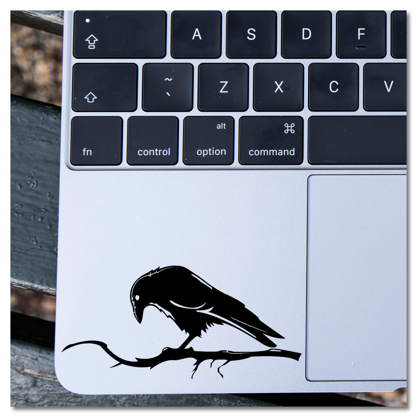 Raven on a Branch Vinyl Decal Sticker