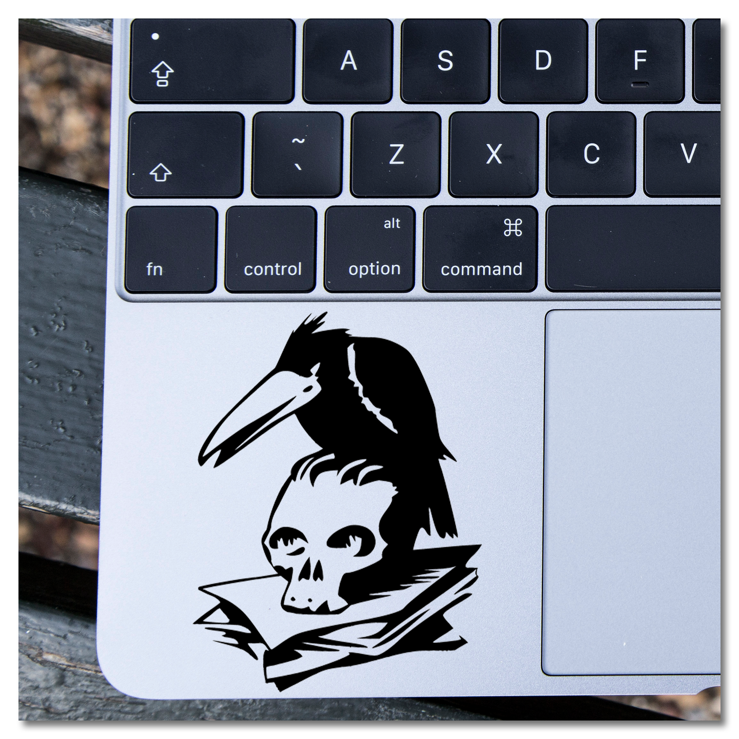 Raven on Skull & Papers Vinyl Decal Sticker