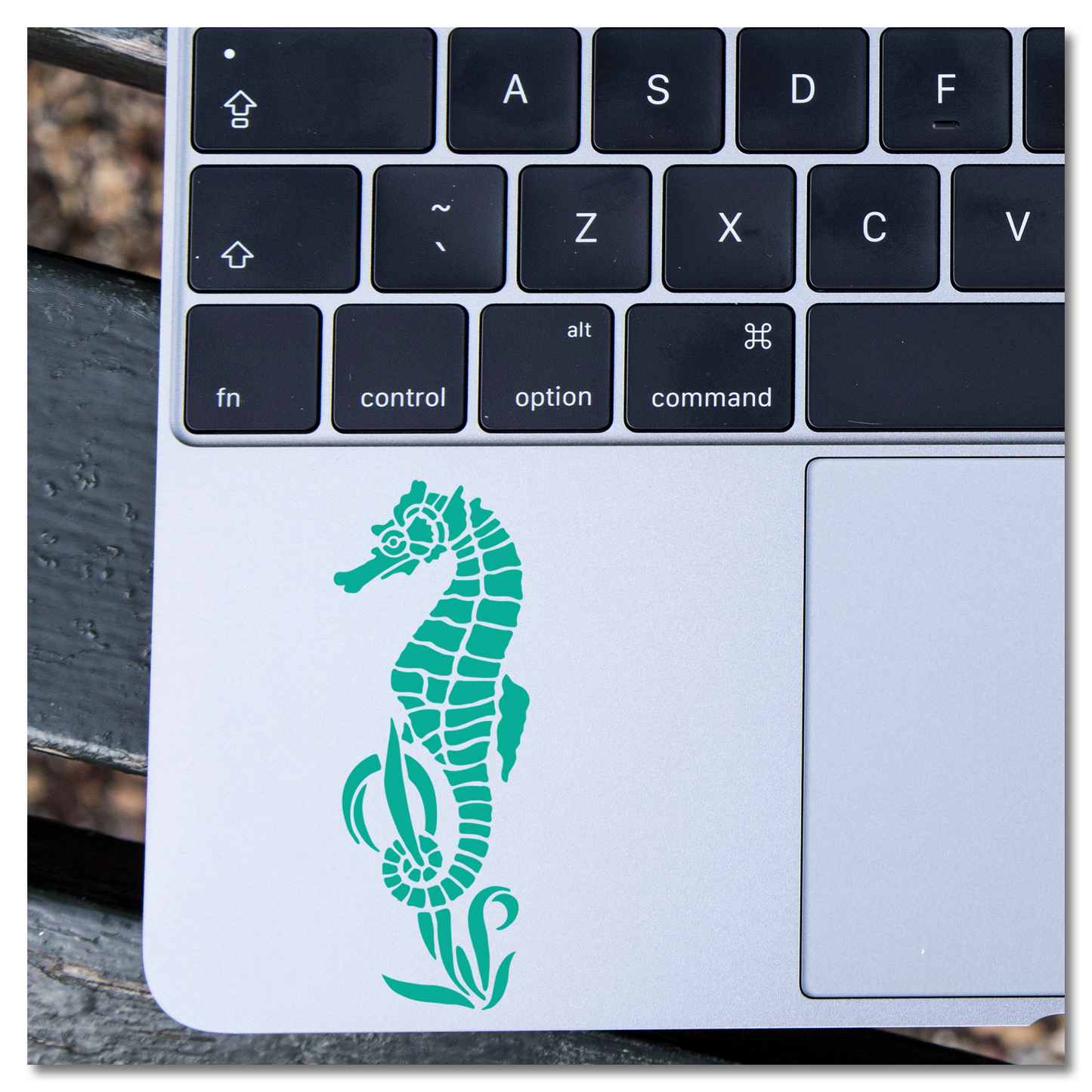 Seahorse Holding Seaweed Vinyl Decal Sticker