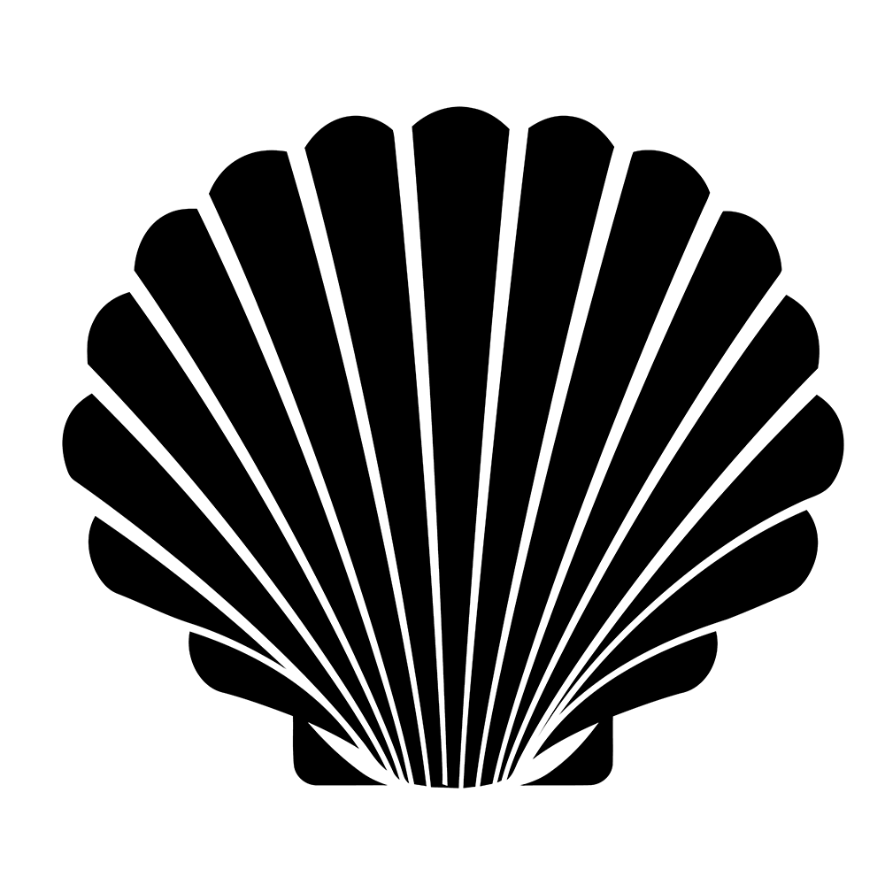 Seashell Vinyl Decal Sticker