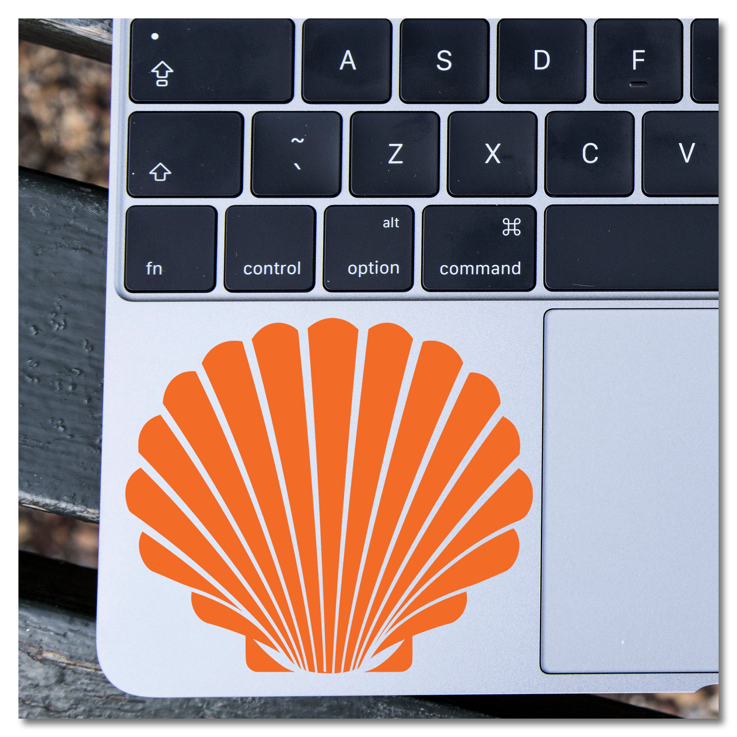 Seashell Vinyl Decal Sticker