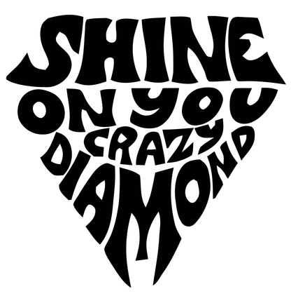 Pink Floyd Shine On You Crazy Diamond Vinyl Decal Sticker